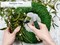 Royal Imports Bulk Green Paddle Wire Spool 120 YD roll, 23 Gauge, Floral Arrangements, Florist Supplies, Jewelry, Gift, Crafts, Wreath Making, Flower Garland, Plant Stem Garden Ties, Bouquet Bind Wrap